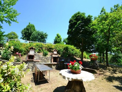 Holiday house Ferienhaus in der Toskana mit Pool & Olivenhain - Outdoor photo 22