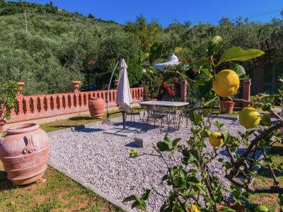 Farmhouse Farmhouse in Montecatini with Sauna & Pool - Outdoor photo 10