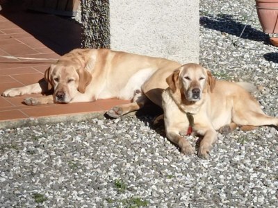 Holiday house Ruhiges Ferienhaus, San Quirico - Outdoor photo 39
