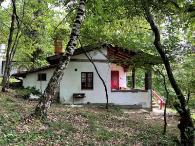 Holiday house Vintage-Ferienhaus - Outdoor photo 15