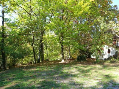 Holiday house Vintage-Ferienhaus - Environment photo 39