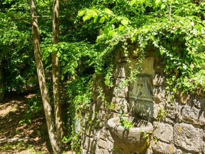 Holiday house Beautiful vacation home - Environment photo 33