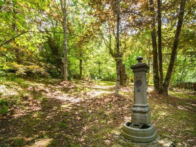 Holiday house Beautiful vacation home - Environment photo 35