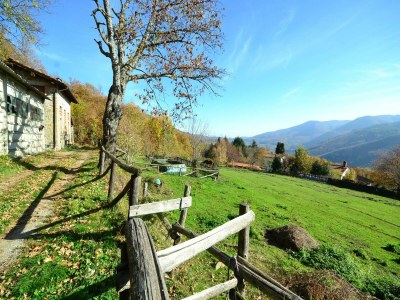Chalet Tranquil Stone Chalet - Outdoor photo 8