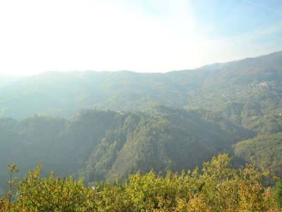 Chalet Tranquil Stone Chalet - Outdoor photo 11