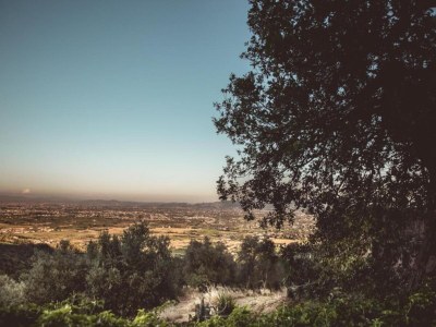 Chalet Tranquil Stone Chalet - Environment photo 31