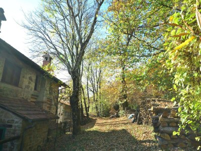 Chalet Tranquil Stone Chalet - Outdoor photo 34