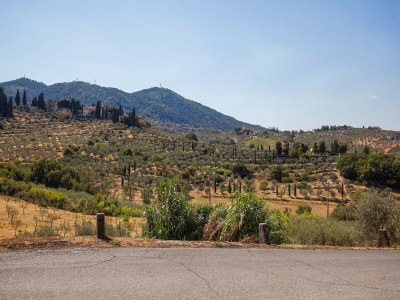 Farmhouse Bauernhaus mit Pool und toskanischem Charme - Environment photo 30