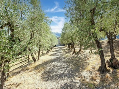 Farmhouse Bauernhaus mit Pool und toskanischem Charme - Environment photo 32