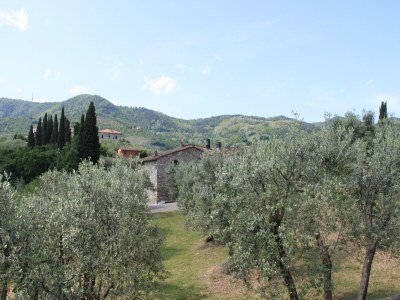 Farmhouse Toskanisches Paradies; Vinci und Pistoia - Outdoor photo 8