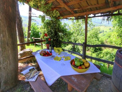 Farmhouse Charmantes toskanisches Bauernhaus - Outdoor photo 5