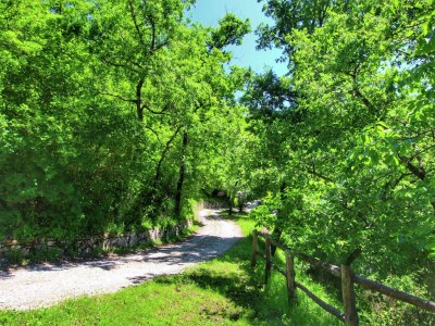 Farmhouse Charmantes toskanisches Bauernhaus - Outdoor photo 6