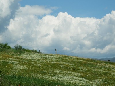 Farmhouse Charmantes toskanisches Bauernhaus - Environment photo 35