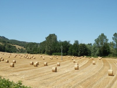 Farmhouse Charmantes toskanisches Bauernhaus - Environment photo 36