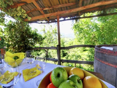 Farmhouse Charmantes toskanisches Bauernhaus - Outdoor photo 39