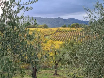 Holiday house Geräumiges Ferienhaus - Environment photo 28