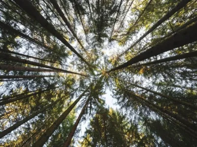 Holiday house Geräumiges Ferienhaus - Environment photo 29