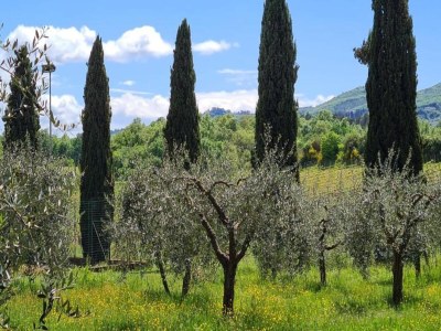 Holiday house Geräumiges Ferienhaus - Environment photo 31