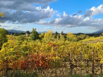 Holiday house Geräumiges Ferienhaus - Environment photo 35