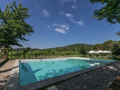 Holiday house Authentic farmhouse with pool - Outdoor photo 17