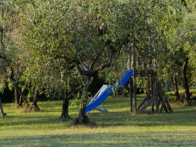 Apartment Villa in Tuscany with Pool near Beach - Outdoor photo 5
