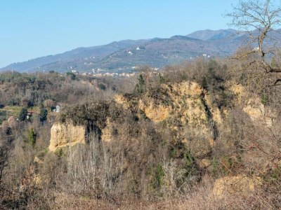 Apartment Villa in Tuscany with Pool near Beach - Environment photo 24