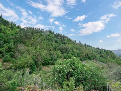 Apartment Villa in Tuscany with Pool near Beach - Environment photo 27