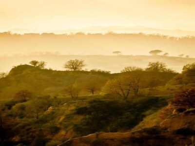Apartment Villa in Tuscany with Pool near Beach - Environment photo 34