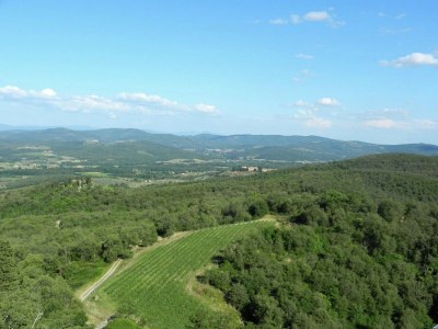 Farmhouse Farmhouse with Pool View - Environment photo 34
