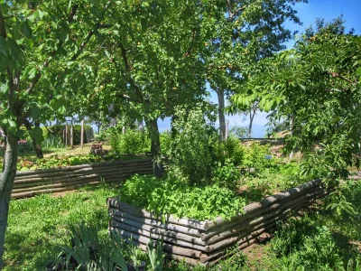 Farmhouse Rustic Farmhouse in Forest - Outdoor photo 40