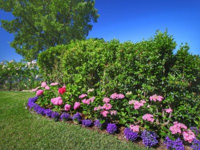 Farmhouse Bauernhaus in Loro Ciuffenna - Outdoor photo 15