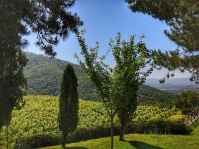 Farmhouse Bauernhaus in Loro Ciuffenna - Environment photo 29