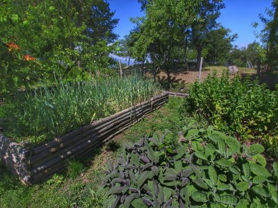Farmhouse Bauernhaus in Loro Ciuffenna - Outdoor photo 35