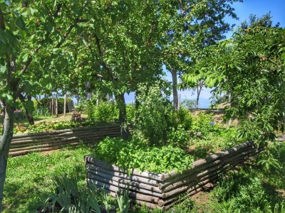 Farmhouse Bauernhaus in Loro Ciuffenna - Outdoor photo 37