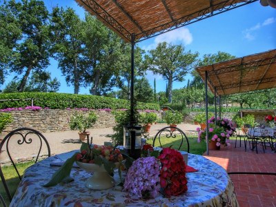 Farmhouse Farmhouse in Loro Ciuffenna with Pool & Garden - Outdoor photo 9