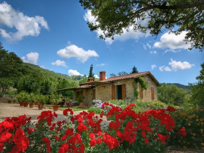 Farmhouse Farmhouse in Loro Ciuffenna with Pool & Garden - Outdoor photo 11