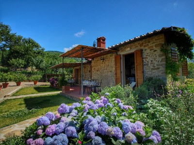 Farmhouse Farmhouse in Loro Ciuffenna with Pool & Garden - Outdoor photo 12