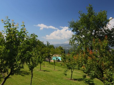 Farmhouse Farmhouse in Loro Ciuffenna with Pool & Garden - Outdoor photo 16