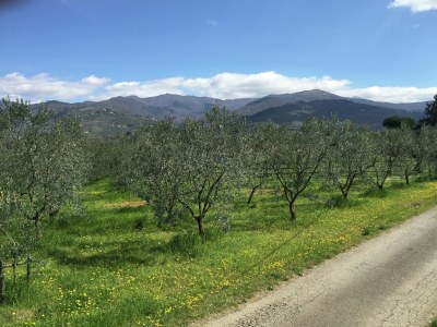 Cottage Tuscan Mansion getaway - Outdoor photo 9