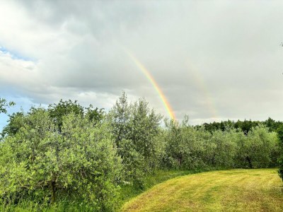 Holiday house Detached cottage with pool - Outdoor photo 7