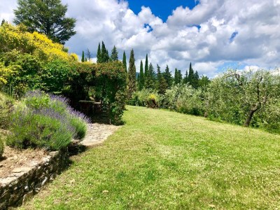 Holiday house Detached cottage with pool - Outdoor photo 8
