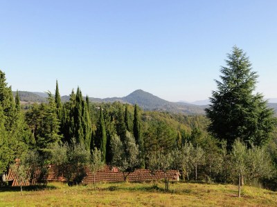 Holiday house Detached cottage with pool - Outdoor photo 9