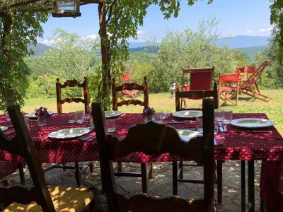 Holiday house Detached cottage with pool - Outdoor photo 15