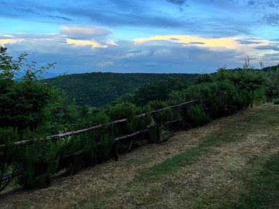 Holiday house Detached cottage with pool - Outdoor photo 16