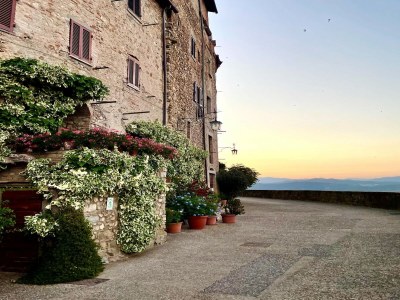 Holiday house Detached cottage with pool - Environment photo 37