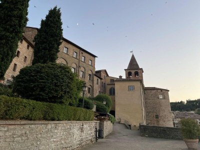 Holiday house Detached cottage with pool - Environment photo 38