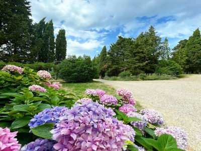 Holiday house Cottage with swimming pool - Outdoor photo 15