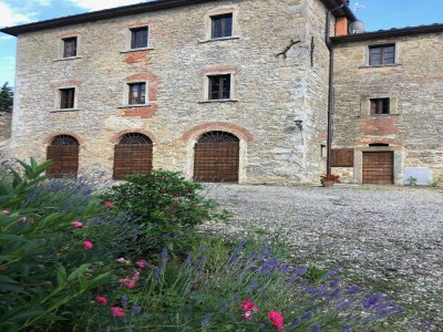 Holiday house Cottage with swimming pool - Environment photo 32