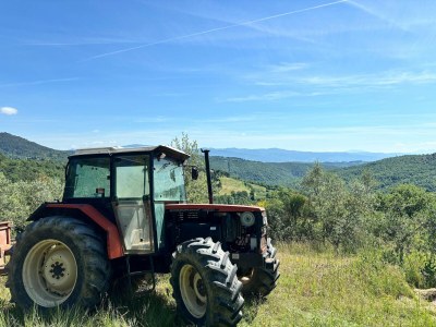 Holiday house Cottage with swimming pool - Environment photo 38
