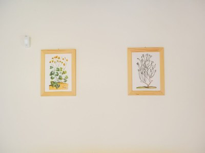 Apartment Wohnung in Anghiari mit Garten - Outdoor photo 39